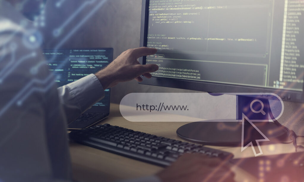 Domain Registration and Hosting Service