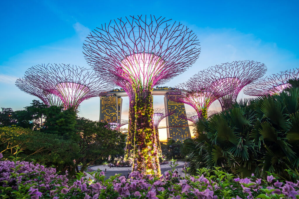 Singapore Website Packages